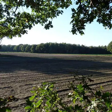 De Steegberg